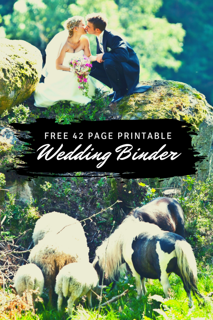 Free 42 Page Printable Wedding Binder We Love Printables