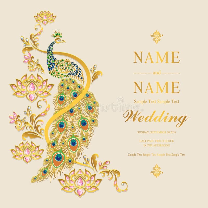 Indian Wedding Card Stock Illustrations 64 802 Indian Wedding 